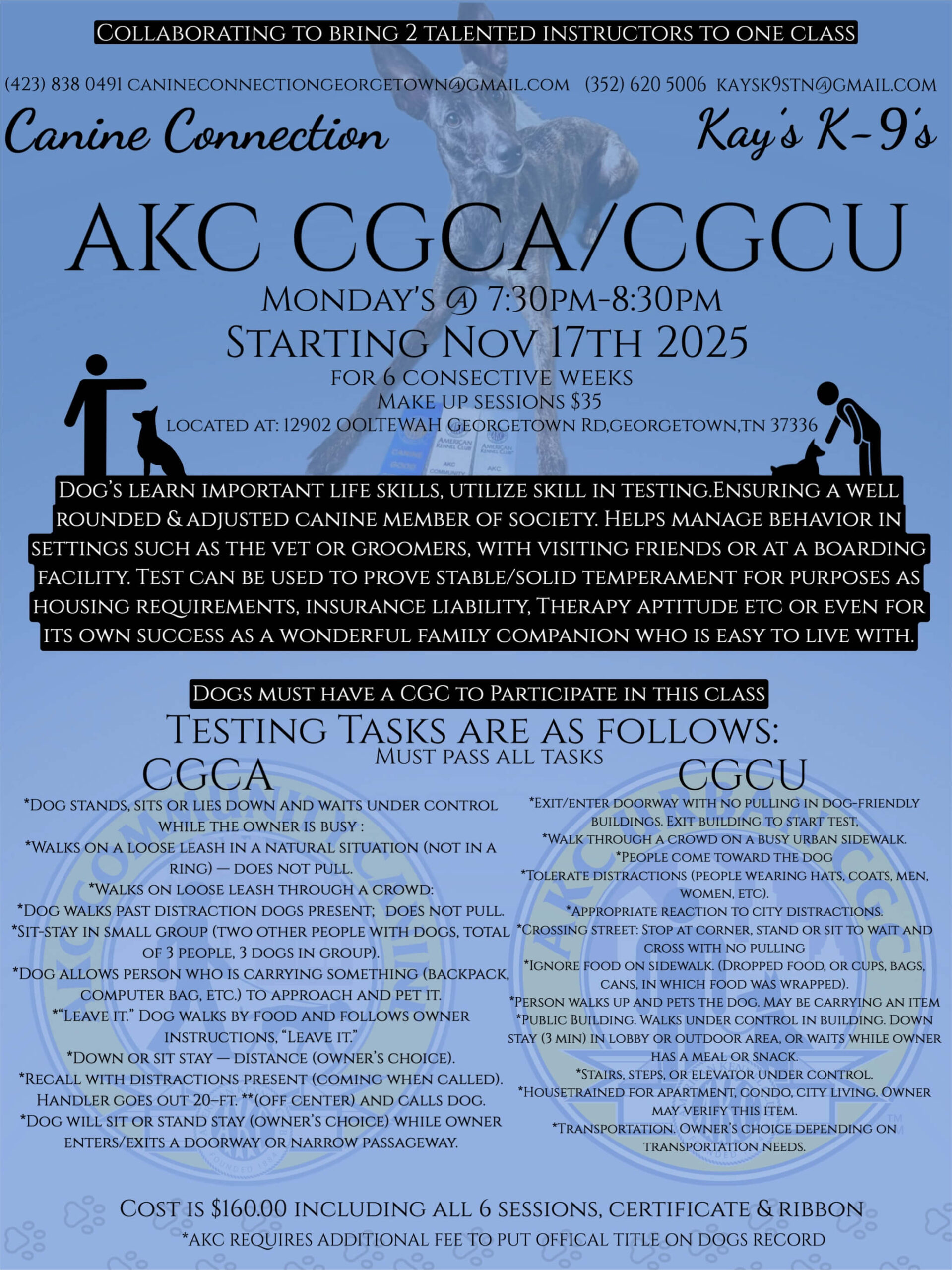 FF493BC7-EB0C-4EB4-903E-DA57C646A507